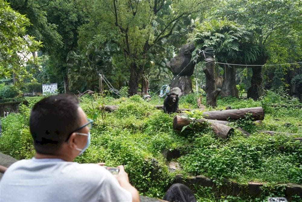 The Zoo is a place that preserves over 1,000 animal species